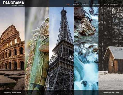 Grid style WordPress theme for bloggers by SKT Themes