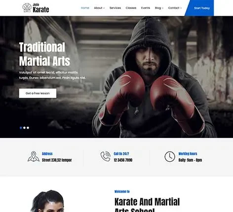 Gymnastics WordPress Theme for Sports Academies and Coaches