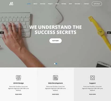 HTML WordPress Theme for Code-Based and Lightweight Websites