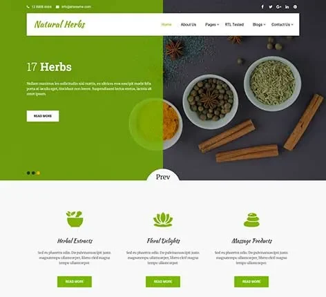 Herbal Store WordPress Theme for Ayurvedic and Organic Shops