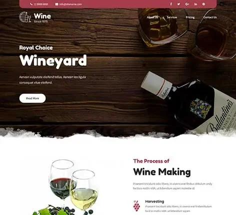 Liquor Store WooCommerce Theme by SKT Themes