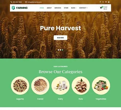 Organic Market WordPress Theme for Farmers and Green Stores