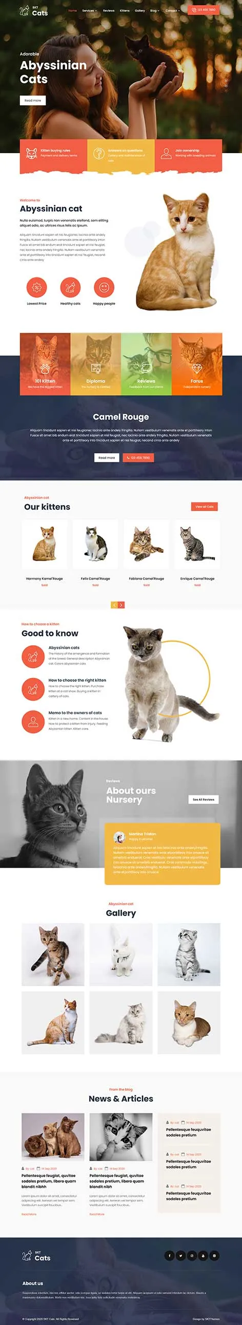 Pet Business WordPress Theme for Grooming, Boarding, and Pet Services