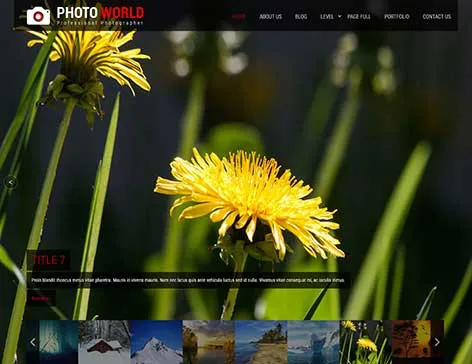 Photography portfolio WordPress theme for photographers by SKT Themes