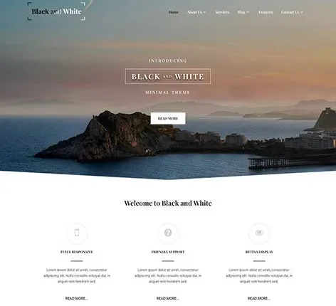 Pre Designed WordPress Theme for Ready-Made Website Layouts