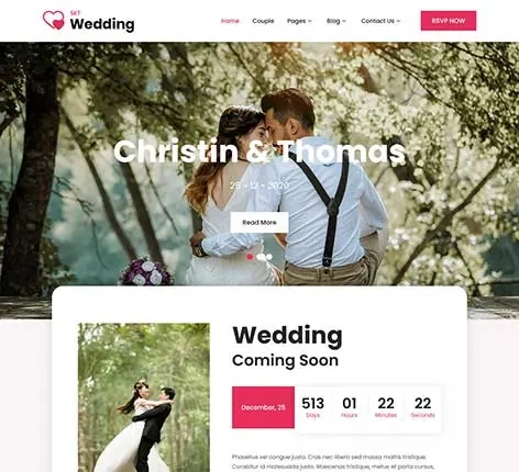 Promising WordPress Theme for Ambitious Startups and Blogs