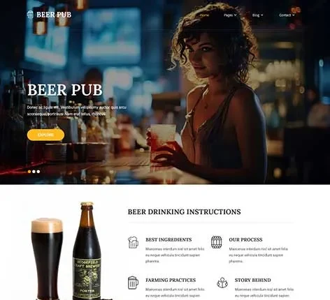 Pubs WordPress Theme by SKT Themes