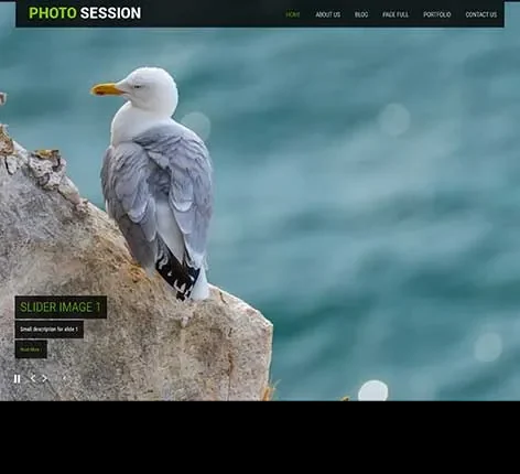 Carousel Sliders WordPress Theme with rotating content display