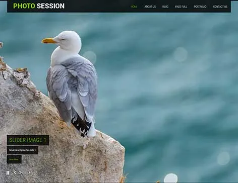 Carousel Sliders WordPress Theme with rotating content display