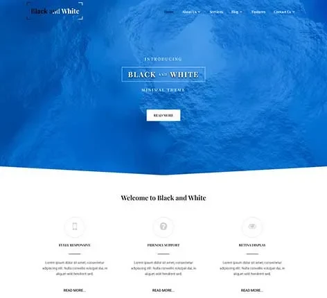 Feature Rich WordPress Theme by SKT Themes supports websites needing advanced functionality without affecting speed.