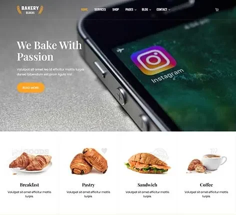 Instagram Feed WordPress Theme with social media grid integration