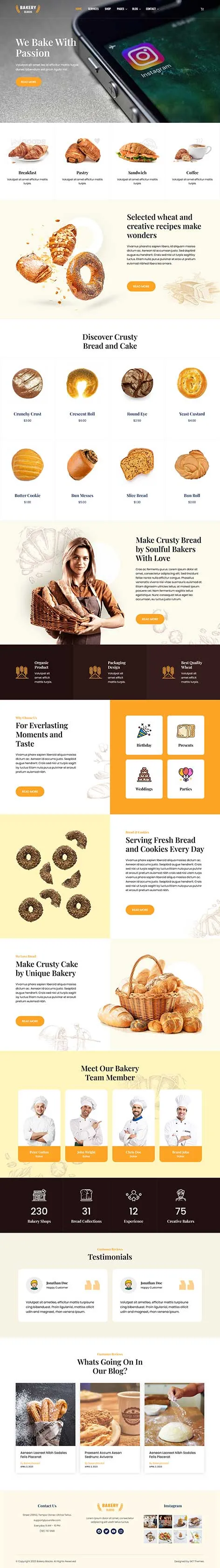 Instagram Feed WordPress Theme with social media grid integration