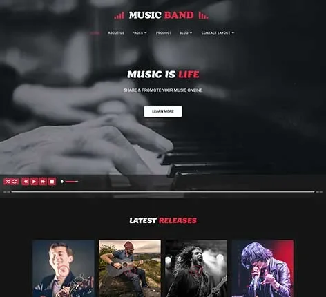 Musicians WordPress Theme with discography and tour dates display