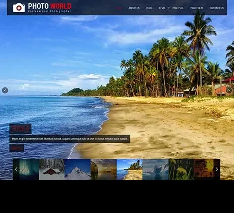 Retro Style WordPress Theme by SKT Themes