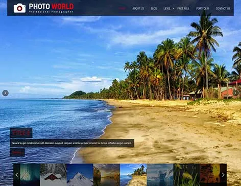 Retro Style WordPress Theme by SKT Themes