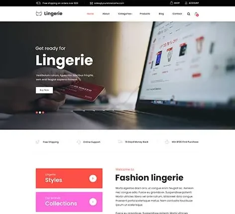 Selling Products Online WordPress Theme with an eCommerce storefront design