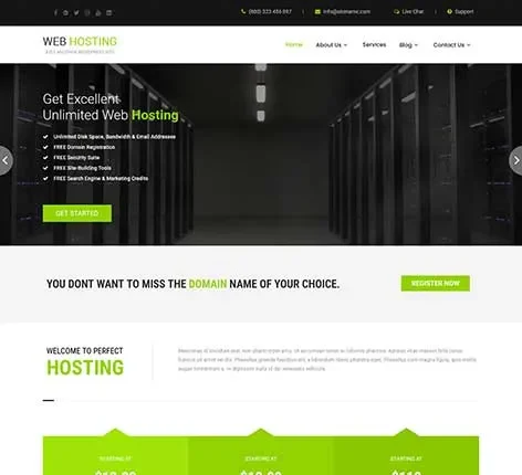 Website Hosting WordPress Theme by SKT Themes – Promote hosting services and support plans