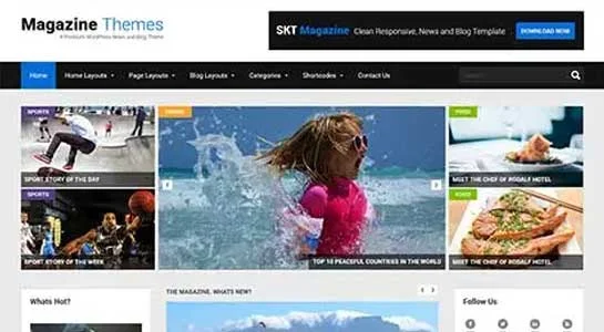 Grid Layout - 2 or 3 Column WordPress Theme