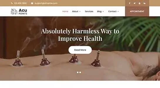 SKT Needle Therapy - Acupuncture WordPress Theme