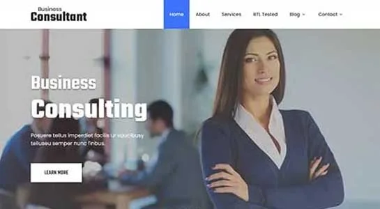SKT Adviser - Advisor WordPress Theme