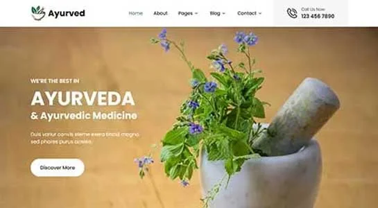 SKT Visual Elegance - Aesthetic WordPress Theme