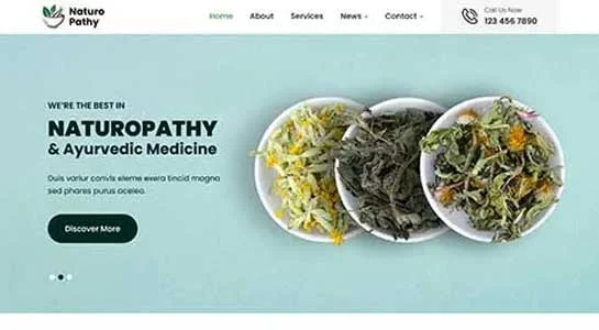 SKT Holistic Healing - Alternative Medicine WordPress Theme