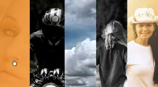 SKT Eye-catching Showcase - Awesome Gallery Optimized WordPress Theme