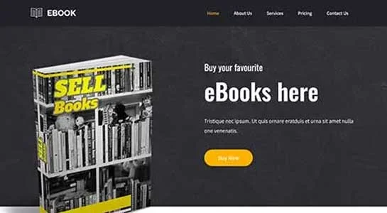 SKT Literature - Books WordPress Theme