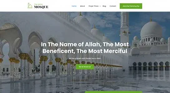 SKT Radiant - Bright WordPress Theme