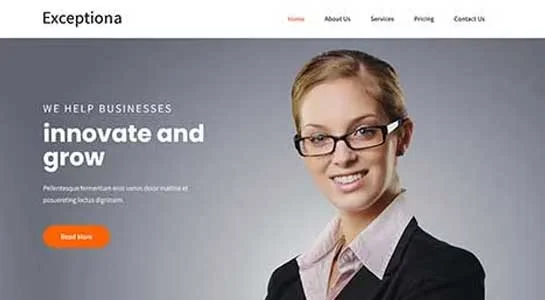 SKT Chartered Accountant - CPA WordPress Theme