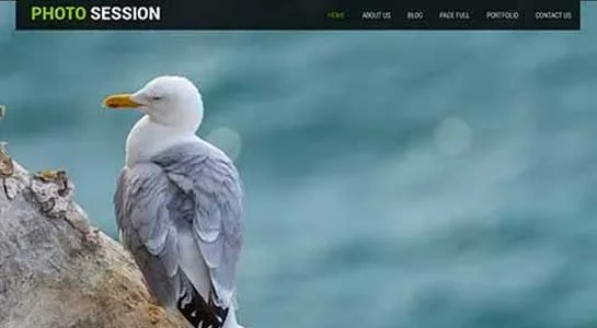 SKT Showcase - Carousel Sliders WordPress Theme