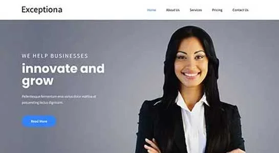 SKT Registered Auditor - Chartered Accountant WordPress Theme