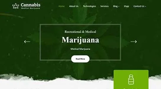 SKT TCM - Chinese Medicine WordPress Theme