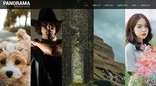 SKT ColorBurst - Chroma WordPress Theme