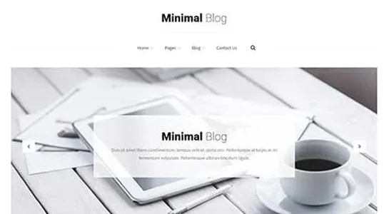 SKT InfoStream - Content Curation WordPress Theme