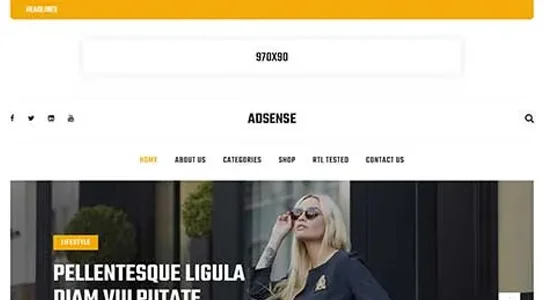 SKT Media Distribution - Content Sharing WordPress Theme