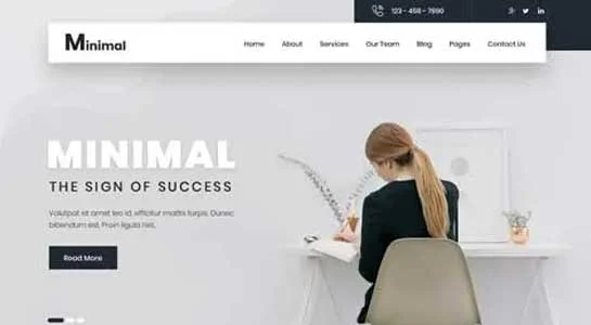 SKT Stylish - Cool WordPress Theme