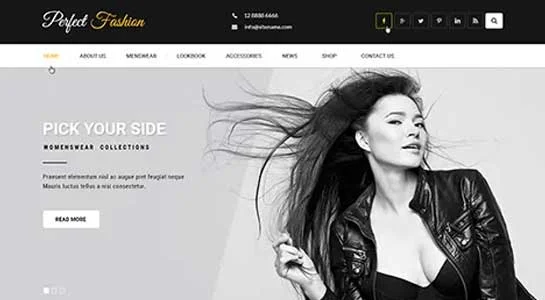 SKT Fashionista - Couturier WordPress Theme