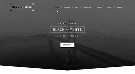 Black and White - Black and White WordPress Theme