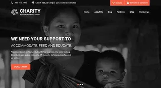 SKT TinyTots - Child Care WordPress Theme