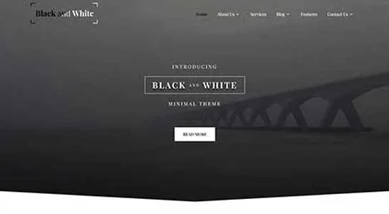 SKT Pure Minimal - Clean White WordPress Theme