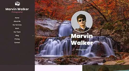 SKT CV - Curriculum Vitae WordPress Theme