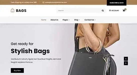 SKT Purse - Designer Handbags WordPress Theme