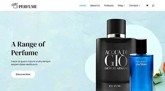 SKT FlexiBuilder - Divi Alternative WordPress Theme