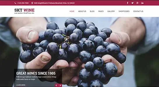 SKT JS Resource - Downloadable Javascript WordPress Theme