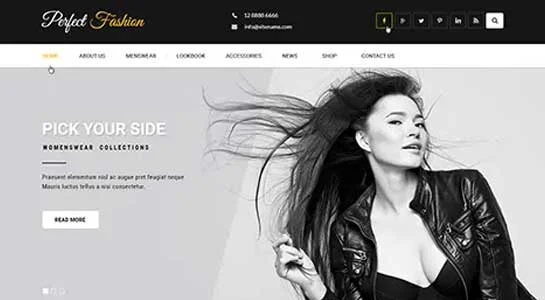 SKT Trend Curator - Fashion Blogger WordPress Theme