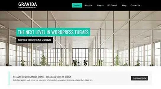 SKT Pliant - Flexible Scalable WordPress Theme