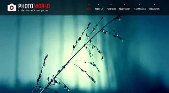 21 Best Full Background WordPress Themes for Fullscreen Photography SKT Immersive - Free Photography WordPress Theme