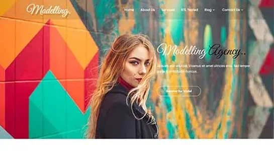 SKT Groovy - Funky WordPress Theme