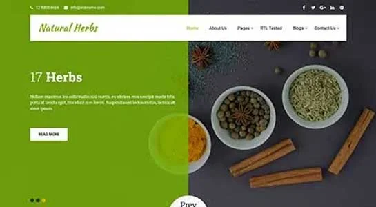 9 Herbal WordPress Theme for Herbal Store and Online Herbs Website SKT Apothecary - Herbal Store WordPress Theme
